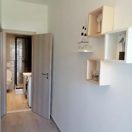 Apartment Red Rose